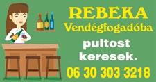c o m HOSSZÚ távra keresünk családi vállalkozásban lévő kisboltba, minimum 6 órában megbízható, leinformálható hölgyet eladónak Cegléden. Jelentkezés: barbispeed@fibermail.