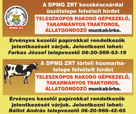 www. dpmsz. hu 7 A Horizont Color Kft. villamossági osztálya (Jászberény, Kossuth Lajos út 48-50.) villamos kis- és középfeszültségben jártas kollégát keres adminisztrátori munkakörbe.