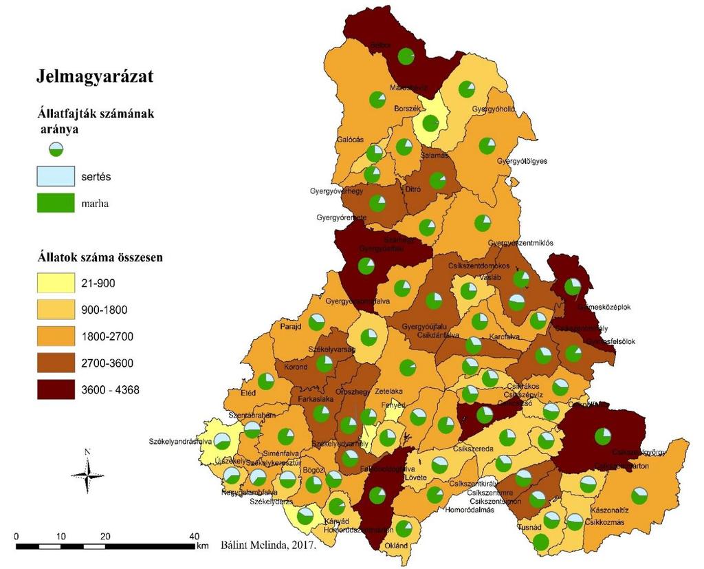 7. Táblázat: Hígtrágyából nyerhető biogáz Hargita megyében Állatok száma* Napi trágya mennyiség (kg) Éves trágya mennyiség (t) Biogáz mennyiség (m3/t) Villamosenergia (MW) Hőenergia Sertés 32 173 16