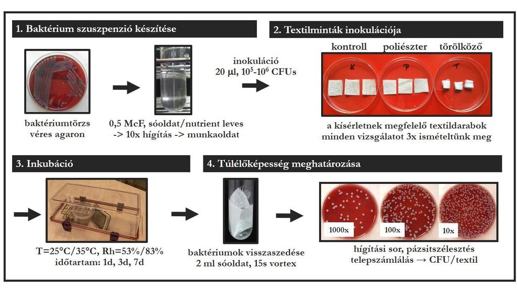 Sanitized T99-19 50 m/m% dimetil-tetradecil(3-(trimetoxiszilil)propil)ammónium-klorid) innentől a T99-19-QAC néven hivatkozom rá.