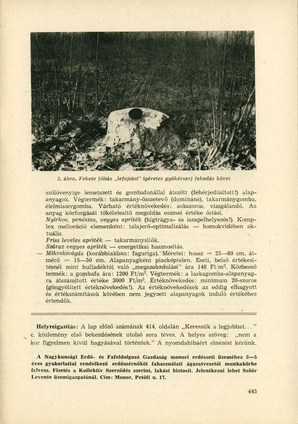 2. ábra. Fekete fóliás lefojtást" ígéretes.gyökérsarj fakadás követ szőlővenyige lemetszett és gombafonállal átszőtt (fehérjedúsított!) alapanyagok.