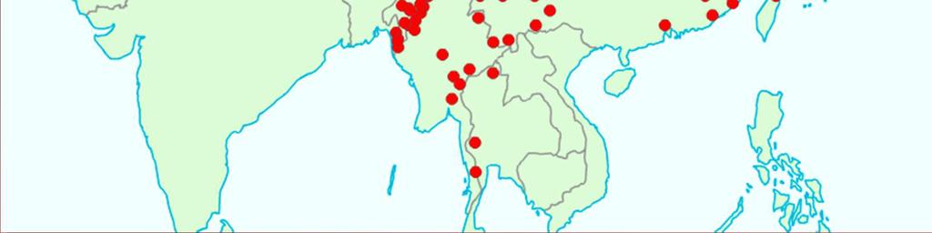 A sino-tibeti hipotézis nagy
