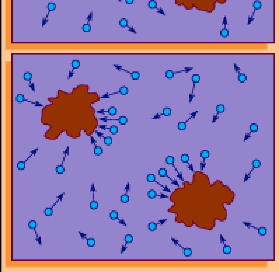 Microscopical Observations made in the Months of June, July, and August,