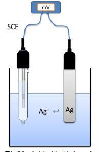2. Potenciometriás elektródtípusok 2.1. Elektroncsere-egyensúly alapján működő elektródok 2.1.1. Elsőfajú elektródok (pl.