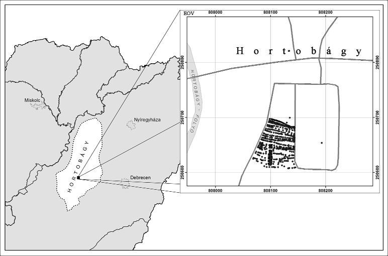 Anyag és módszer Mintaterületnek Hortobágy település belterületén választottunk ki egy átlagosan 70x80m-es területet (1.
