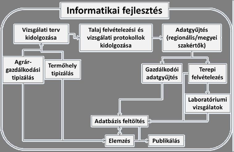 látok mentén kellett terveznünk: 10-20 reprezentatív üzem megyénként; 2 8 tábla üzemenként és 1 3 ún.