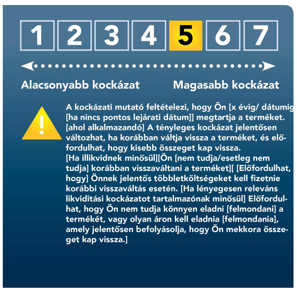 III. MELLÉKLET AZ ÖSSZESÍTETT KOCKÁZATI MUTATÓ BEMUTATÁSA A bemutatás formátuma 1.
