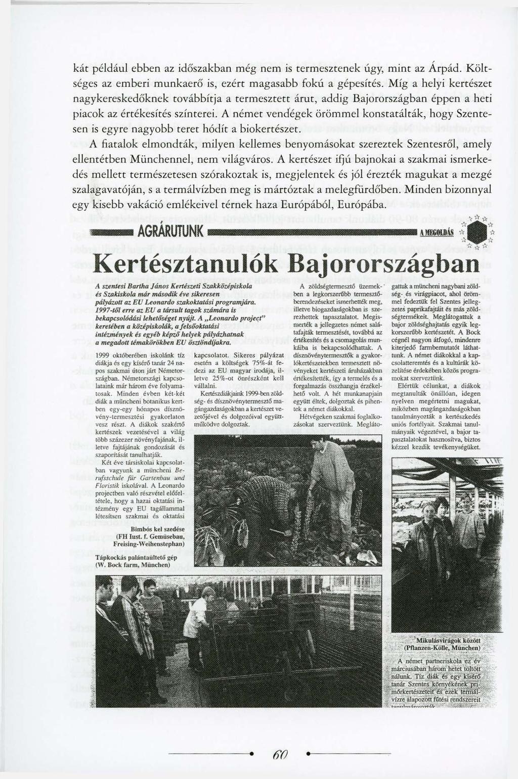 kát például ebben az időszakban még nem is termesztenek úgy, mint az Árpád. Költséges az emberi munkaerő is, ezért magasabb fokú a gépesítés.