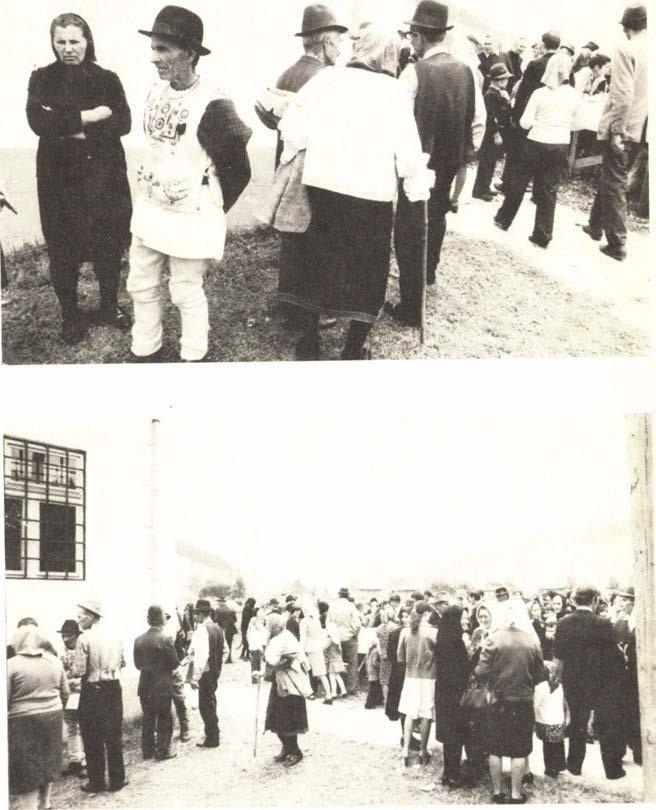 Hajdú