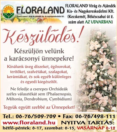 A formabontó tárlat feldolgozza a város históriájának közismert eseményei mellett a kevésbé ismert történeteket is.
