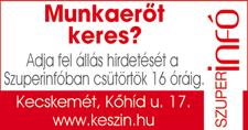 Ezeket a mérhető, igazolható készségeinket nevezzük hard skillsnek, azaz kemény készségeknek.