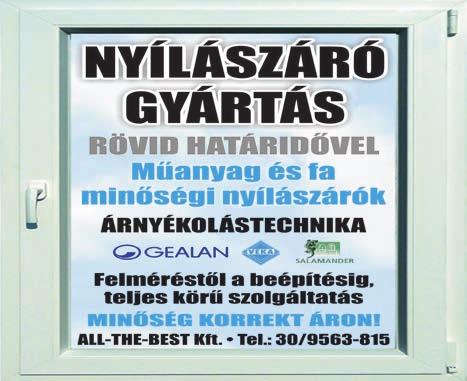 Ezeket a hajtásokat, amikor elérik a húsz centiméteres hosszúságot, levágjuk és vízben gyökereztetjük. Egy-egy gumó akár tizenöt-húsz darab hajtást is hozhat, tehát nem kerül sokba a szaporítás.