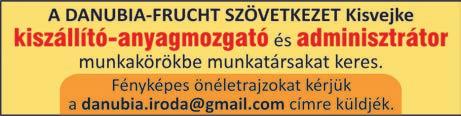 Folyamatos telefonálás Sokaknak nehezére esik megállni, hogy ne érdeklődjenek folyamatosan telefonon álláspályázatuk státuszáról.