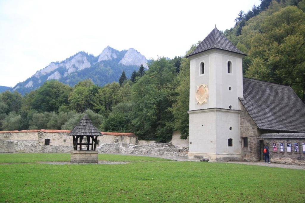Szerző. 6.