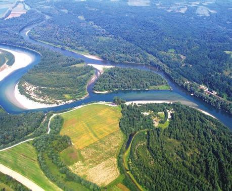 A fajok védelmének célja a fajok eltűnésének megelőzése, továbbá a populációk kellő változatosságban való fenntartása, vagyis a genetikai sokféleség megőrzése, a géntartalékok védelme.