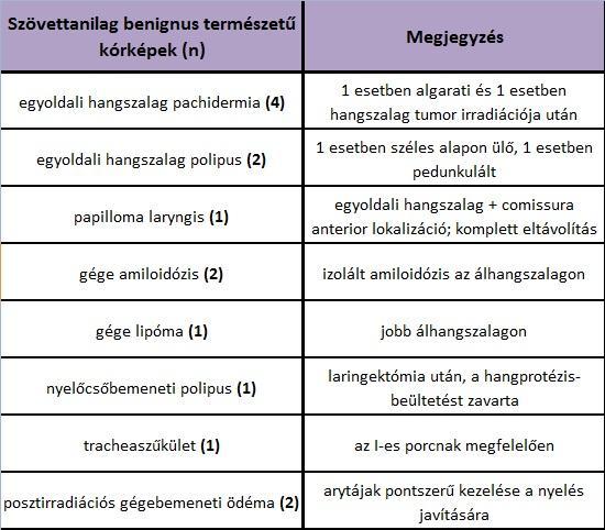 1. táblázat: Szövettanilag benignus természetű kórképek (n: esetszám) és az ezek kapcsán tett észrevételeink Ritkaságszámba megy 2 izolált gégeamyloidosisos esetünk.