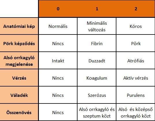 alsó orrkagyló duzzadtságának, vérzésnek, az orrváladék minőségének és összenövés fennállásának megítélésére, hogy ezzel a makroszkópos leletek eredményeinek kiértékelését elősegítsük (7. táblázat).