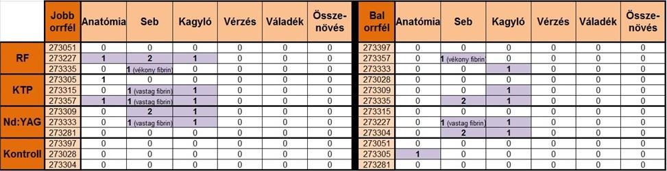 két esetben az orrkagylók roncsolódtak és pörk fedte a felszínüket (29B.b. ábra). Egy orrkagylót találtunk duzzadtnak, a többi 5 azonban zsugorodott. A Nd:YAG-csoportban a posztoperatív 1.