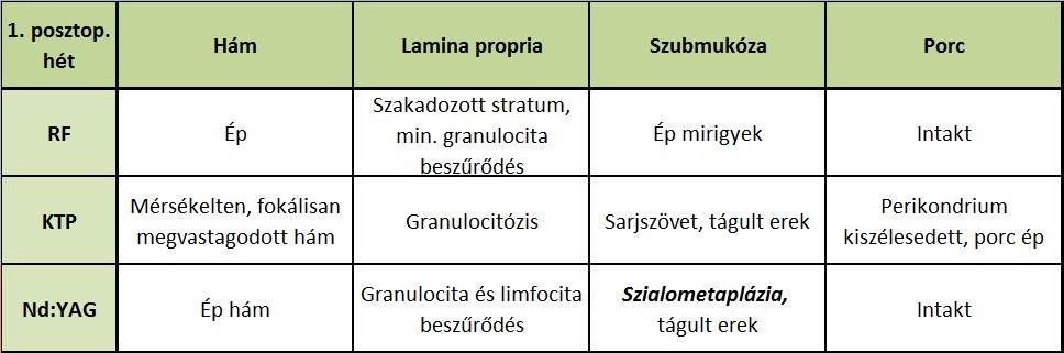 Mikroszkópos eredmények A kontroll csoporton belül, a posztoperatív 1. és 6.