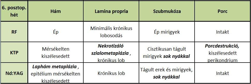 Ezt a normál szövettani állapotot hasonlítottuk össze a különböző beavatkozások hatására kialakult szövettani