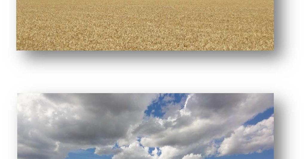 Az itt élők jellemzően földműveléssel foglalkoznak.
