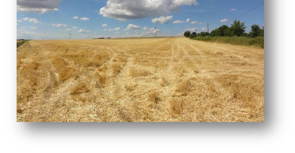 mezőgazdasági terület határolja.
