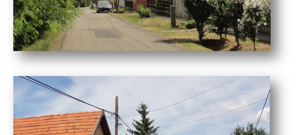 oldalhatárán állnak, a ház mellett és mögött növényzettel, ezzel