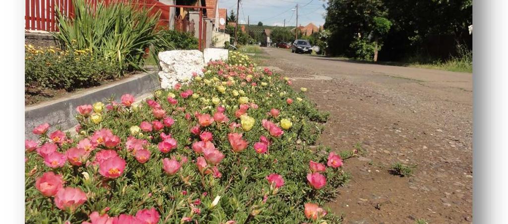 Közterületeinken a Damjanich utcában találhatunk