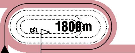 GALOPP 2016.09.24 FUTAM 14:00 (217) Pálya: 11 - Kincsem Park A futam neve: ZSIBÓI HENDIKEP (o.) Összdíjazás: 700000 Ft (350000, 140000, 105000, 70000, 35000) 1 Miserend * 66.