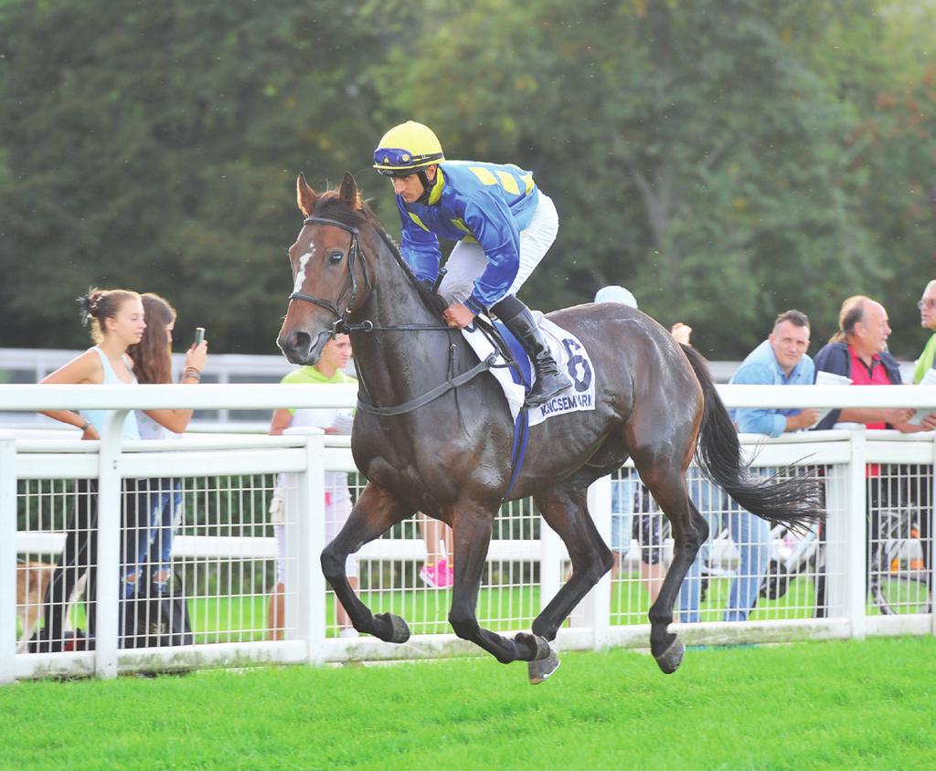 GALOPP 10 Ludmilla * 50.0 Polgár Bettina am. (3.