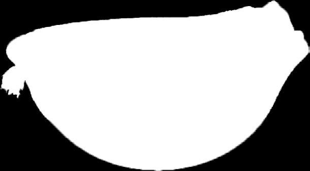 dekor szalvéta 225,-/db