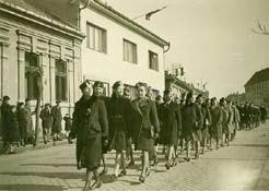 II. Gaudeamus igitur, iuvenes dum sumus Radujme sa, kým sme mladí, hlása študentská hymna, lebo život je krátky (vita nostra brevis est).