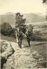 Tóth János Na konci školského roka 1942/43 sme boli vyslaní spolu s Lacom Csiffárym a