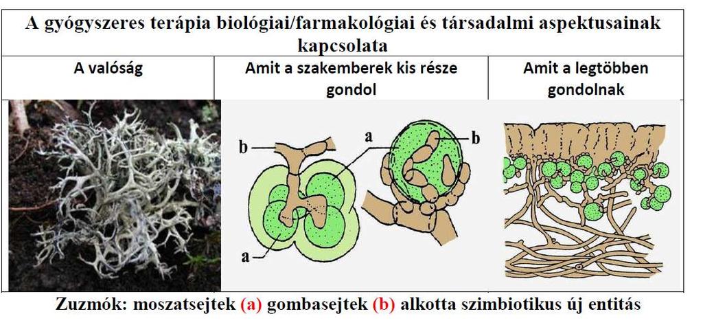 Történelem és marketing a gyógyszeres terápia területén A magas kultúra hétköznapi vulgarizálódása: felvilágosodás, tudomány, társadalom, és vulgárpozitivizmus A történelem nagyobb időszakok