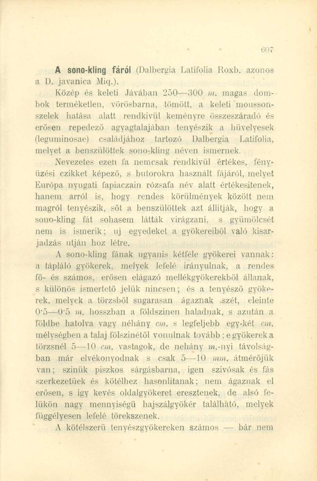 A sono-klin g fáró l (Dalbergia Latifolia Roxb. azonos a D. javanica Miq.). Közép és keleti Jávában 250 300 rn.