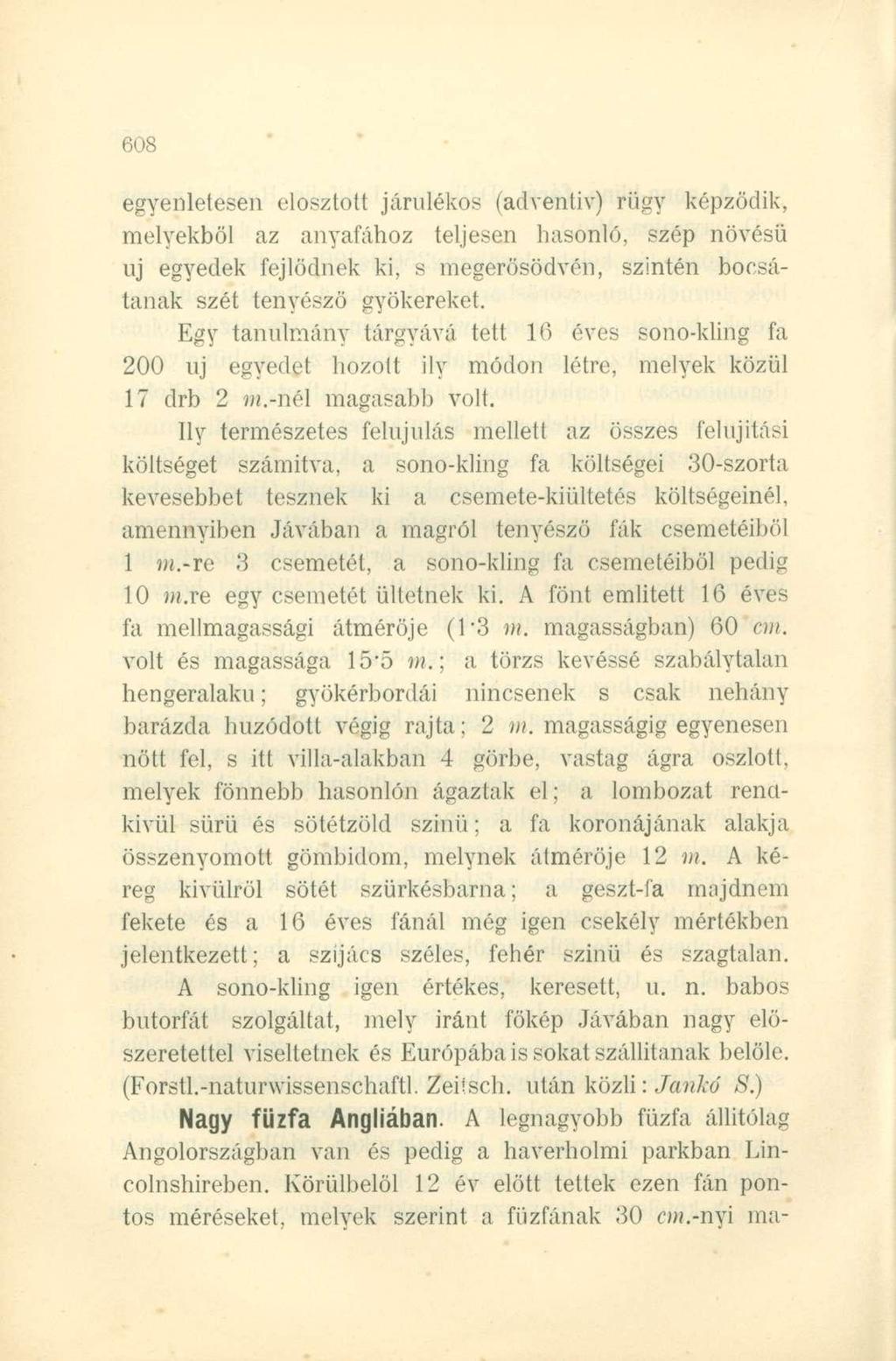 egyenletesen elosztott járulékos (adventiv) rügy képződik, melyekből az anyafához teljesen hasonló, szép növésű uj egyedek fejlödnek ki, s megerősödvén, szintén bocsátanak szét tenyésző gyökereket.