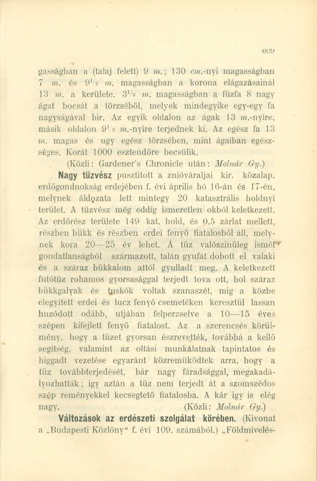 gasságban a (talaj felett) 9 m.\ 130 o».-nyi magasságban 7 m. és 9 1 2 m. magasságban a korona elágazásainál 13 m. a kerülete. 3Va m.