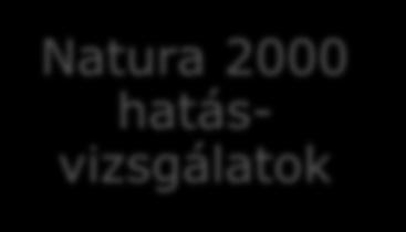 Tájrendezési terv SKV Beavatkozás szabályozás Tájgondozási kísérőtervek