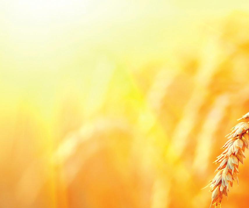Az agrárágazat fejlődéséért A Takarékok hosszú évtizedek óta az agrárium és a vidéki élet meghatározó finanszírozói.