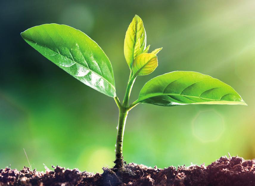 1 Bevezető A TAKARÉK Csoport Agrár Igazgatósága nevében köszöntöm kiadványunk Olvasóit, egyben szeretném megragadni az alkalmat, hogy a statisztikai adatokon túl közös gondolkodásra invitáljam Önöket