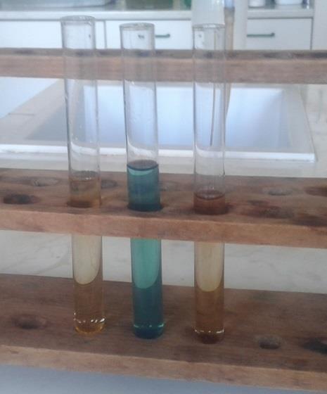 Törések derítések barnatörés: polifenol-oxidáció