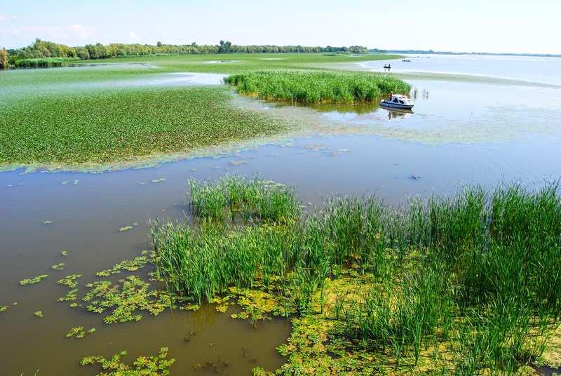 Örökségünk 16 A Tisza-tó és élővilága A Tisza-tó, vagy hivatalos nevén Kiskörei-víztározó hazánk második legnagyobb állóvize, mely mesterséges eredetű.