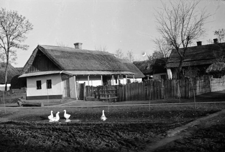 Azonban 1773 márciusában, amikor Ulrich prefektus gyökeresen kezdte felforgatni a korábbi beltelkeket, új utcákat jelölve ki a régi lakosok és az újabb betelepülők számára, amit a régebben itt élők