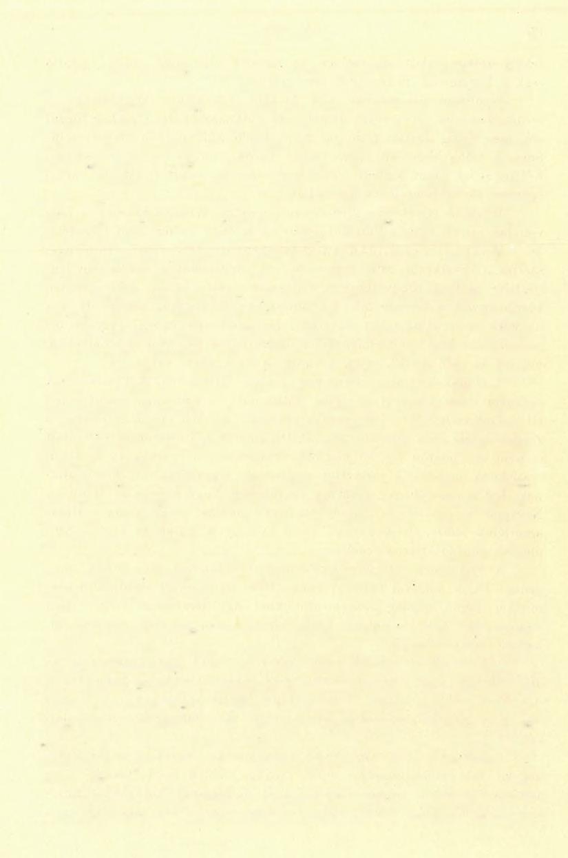 ( 3 ) FÖLVÉTELI JELENTÉS. 181 A Duna balparti résznek vízgyűjtő árokhálózata néhány patakba torkollik össze s rígy tart a Dunának.