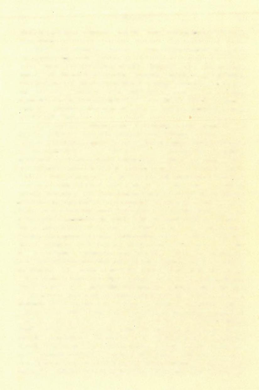 ( 5 ) FÖLVÉTELI JELENTÉS. 183 kívül nem ritkán a dolomit és dachsteinmész elkoptatott darabkái is előfordulnak.