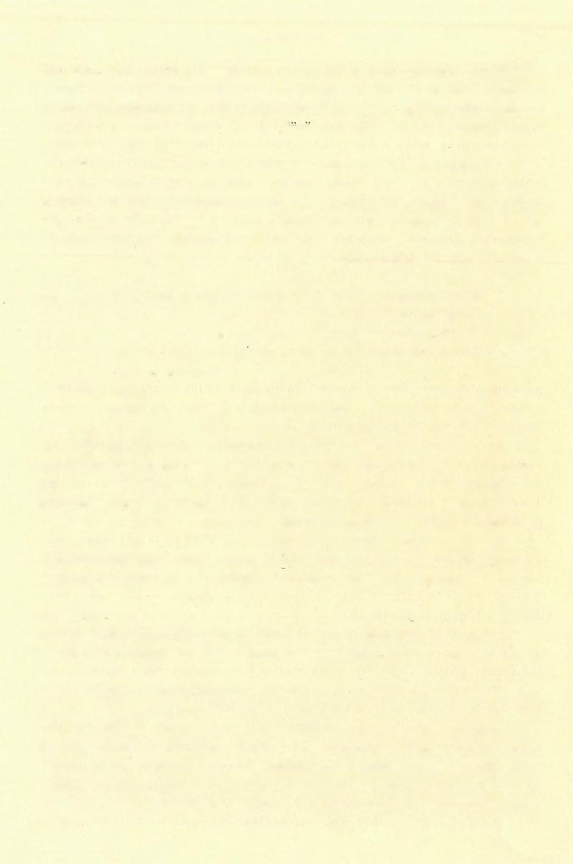 (7) FÖ LVÉTELI JELEN TÉS. 1 85 oka abban rejlik, hogy fiatalabbkorú képződmények, így főleg andesitek s azok tufái, brecciái takarják.
