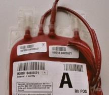 Vérkészítmények tárolása Hőmérséklet Eltartható Vörösvérsejt-koncentrátum +4 O C 35 nap 1