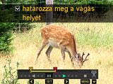 Pillanatfelvétel készítése filmfelvétel filmkockából (MOTION PRINT) [p] (LEJÁTSZÁS) * Mozgókép képernyő * [MENU] * LEJÁTSZÁS fül * MOTION PRINT 1.