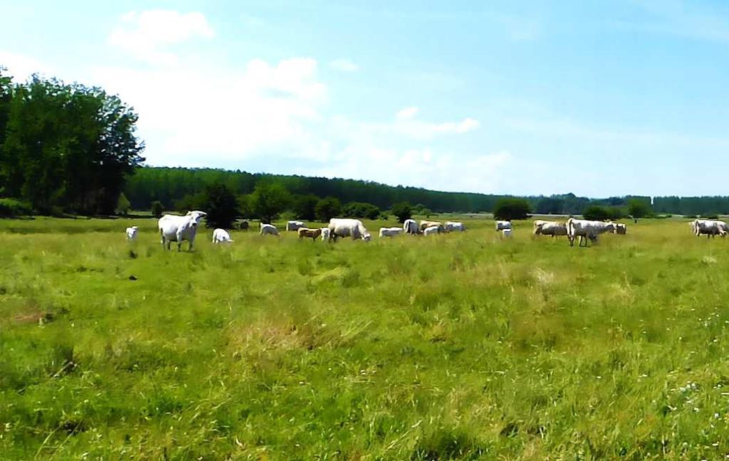 A szövetkezet központja a régi termelőszövetkezet majorjában helyezkedik el a falu déli határában.