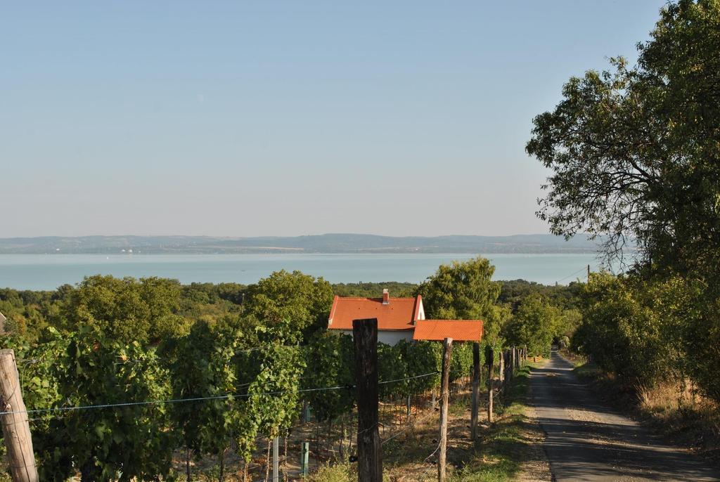 Balatonakali község Képviselő-Testületének